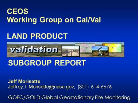 SUBGROUP REPORT Jeff Morisette (301) 614-6676 GOFC/GOLD Global Geostationary Fire Monitoring CEOS Working Group on Cal/Val.