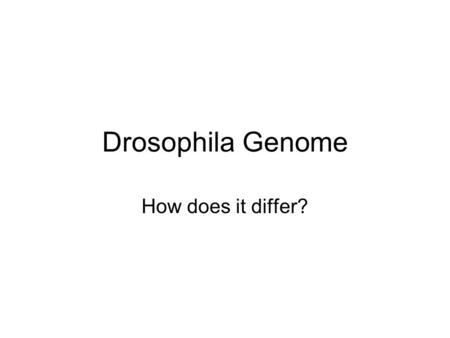 Drosophila Genome How does it differ?. Differences Drosophila lacks canonical telomeres and the ortholog of vertebrate telomerase. Instead it has a unique.