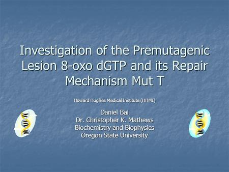 Investigation of the Premutagenic Lesion 8-oxo dGTP and its Repair Mechanism Mut T Howard Hughes Medical Institute (HHMI) Daniel Bai Dr. Christopher K.