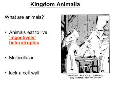 Kingdom Animalia What are animals? Animals eat to live: ‘ingestively’ heterotrophic Multicellular lack a cell wall.