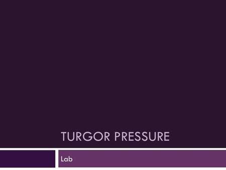 Turgor Pressure Lab.