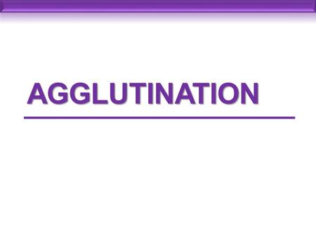 Agglutination 1.
