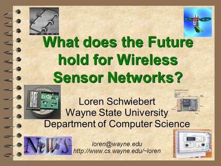 Loren Schwiebert Wayne State University Department of Computer Science  What does the Future hold for Wireless.