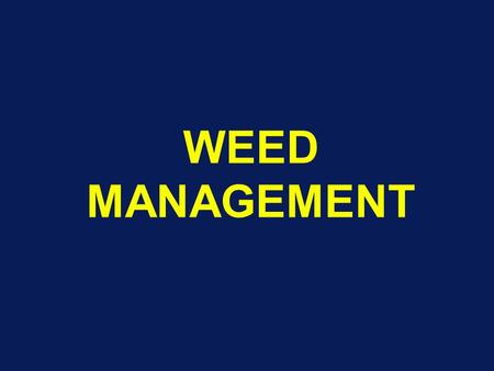 WEED MANAGEMENT. Economic Importance of weeds (Contd.) Competition –Nutrients, water and light Impede harvesting Clog drainage ditches Reduce yield (handout.