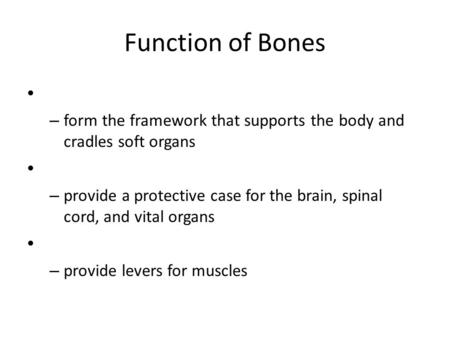 Function of Bones – form the framework that supports the body and cradles soft organs – provide a protective case for the brain, spinal cord, and vital.