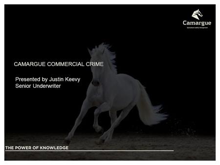CAMARGUE COMMERCIAL CRIME Presented by Justin Keevy Senior Underwriter.