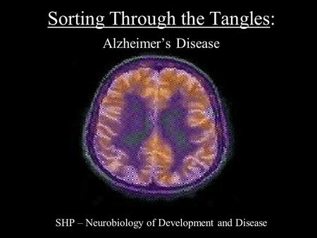 Sorting Through the Tangles: Alzheimer’s Disease