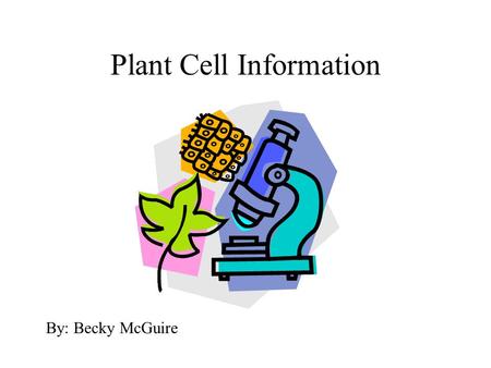 Plant Cell Information By: Becky McGuire. Cell Structure A. Cell: basic structural and physiological unit of all life.