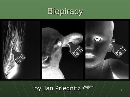 1 Biopiracy by Jan Priegnitz ©®™. 2 Structure history about patents in general history about patents in general the value of biodiversity the value of.