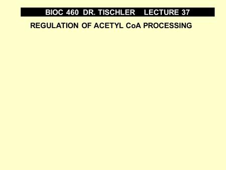 REGULATION OF ACETYL CoA PROCESSING BIOC 460 DR. TISCHLER LECTURE 37.