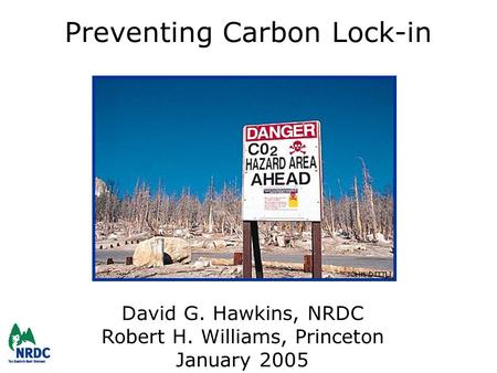 Preventing Carbon Lock-in David G. Hawkins, NRDC Robert H. Williams, Princeton January 2005.
