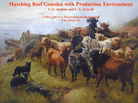 Matching Beef Genetics with Production Environment T. G. Jenkins and C. L. Ferrell USDA, ARS, U.S. Meat Animal Research Center Clay Center NE.