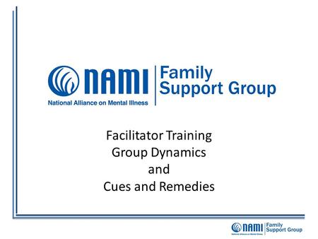 Facilitator Training Group Dynamics and Cues and Remedies.