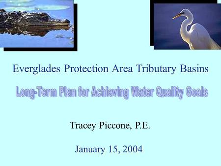Everglades Protection Area Tributary Basins January 15, 2004 Tracey Piccone, P.E.