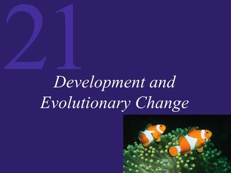 21 Development and Evolutionary Change. 21 Introduction Evolution and Development Regulatory Genes and Modularity: Modifying Morphology Plant Development.