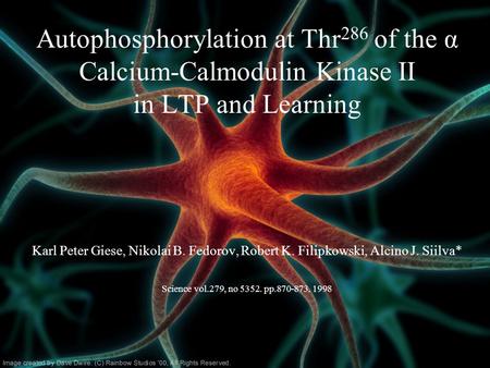 Autophosphorylation at Thr 286 of the α Calcium-Calmodulin Kinase II in LTP and Learning Karl Peter Giese, Nikolai B. Fedorov, Robert K. Filipkowski, Alcino.
