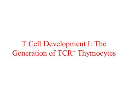T Cell Development I: The Generation of TCR+ Thymocytes