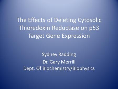 The Effects of Deleting Cytosolic Thioredoxin Reductase on p53 Target Gene Expression Sydney Radding Dr. Gary Merrill Dept. Of Biochemistry/Biophysics.