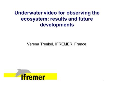 1 Underwater video for observing the ecosystem: results and future developments Verena Trenkel, IFREMER, France.