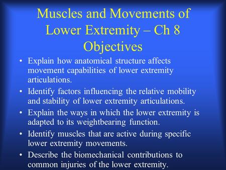 Muscles and Movements of Lower Extremity – Ch 8 Objectives Explain how anatomical structure affects movement capabilities of lower extremity articulations.
