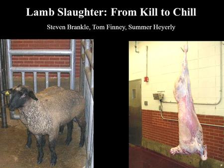 Lamb Slaughter: From Kill to Chill Steven Brankle, Tom Finney, Summer Heyerly.