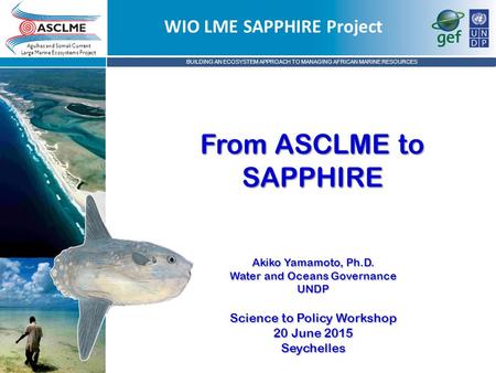 BUILDING AN ECOSYSTEM APPROACH TO MANAGING AFRICAN MARINE RESOURCES Agulhas and Somali Current Large Marine Ecosystems Project From ASCLME to SAPPHIRE.