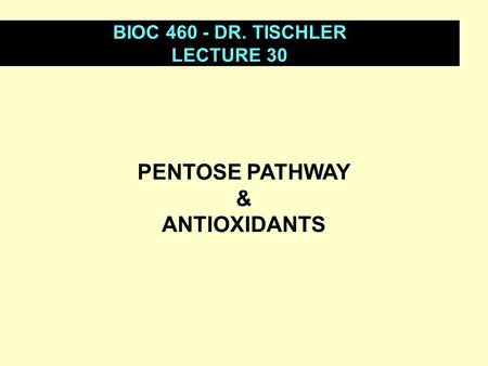 PENTOSE PATHWAY & ANTIOXIDANTS BIOC 460 - DR. TISCHLER LECTURE 30.