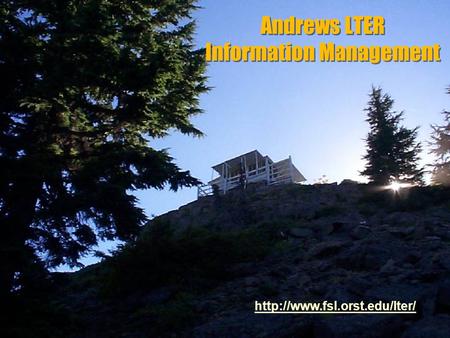 Andrews LTER Information Management