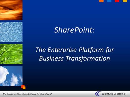 The Leader in Workplace Software for SharePoint ® SharePoint: The Enterprise Platform for Business Transformation.