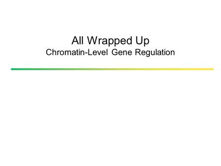 All Wrapped Up Chromatin-Level Gene Regulation. Genes can be regulated by chromatin organization GENETIC EPIGENETIC Pierce, B. 2005. Genetics, a conceptal.