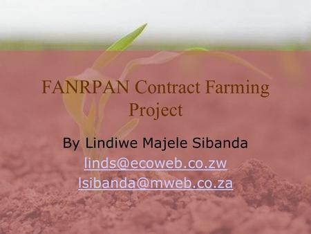 FANRPAN Contract Farming Project By Lindiwe Majele Sibanda