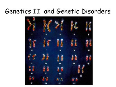 Genetics II and Genetic Disorders. Genetics II Dihybrid Crosses ____________________________________ Examples: –Pea shape and pea color –Coat length and.