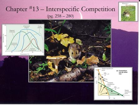 Chapter #13 – Interspecific Competition