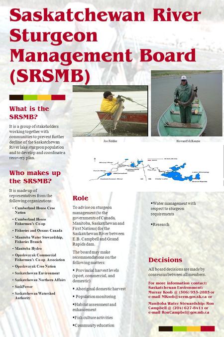 Saskatchewan River Sturgeon Management Board (SRSMB) What is the SRSMB? It is a group of stakeholders working together with communities to prevent further.