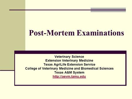 Post-Mortem Examinations Veterinary Science Extension Veterinary Medicine Texas AgriLife Extension Service College of Veterinary Medicine and Biomedical.