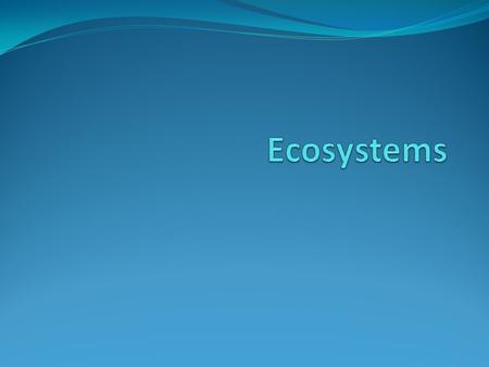 Learning Objectives State key terms and definitions State that ecosystems are dynamic Describe how energy is transferred through ecosystems.