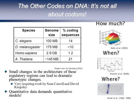 The Other Codes on DNA: It’s not all about codons! Small changes in the architecture of these regulatory regions can lead to dramatic phenotypic changes.