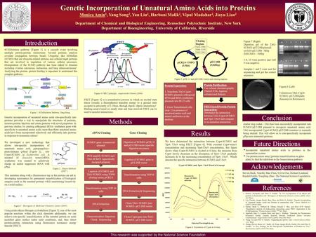 Genetic Incorporation of Unnatural Amino Acids into Proteins Monica Amin 1, Yang Song 2, Yan Liu 2, Harbani Malik 2, Vipul Madahar 2, Jiayu Liao 2 Department.