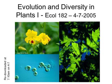Evolution and Diversity in Plants I - E col 182 – 4-7-2005 Re-downloaded at 7:10am on 4-7.