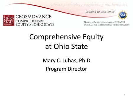 Leading to excellence Comprehensive Equity at Ohio State Mary C. Juhas, Ph.D Program Director 1.