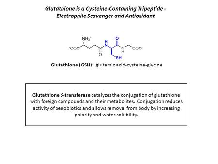Glutathione is a Cysteine-Containing Tripeptide - Electrophile Scavenger and Antioxidant Glutathione S-transferase catalyzes the conjugation of glutathione.