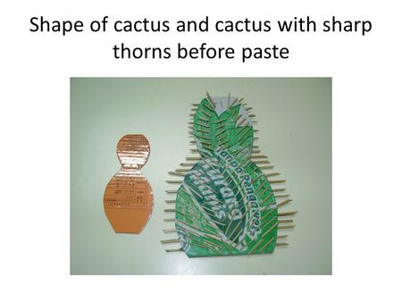 Shape of cactus and cactus with sharp thorns before paste.