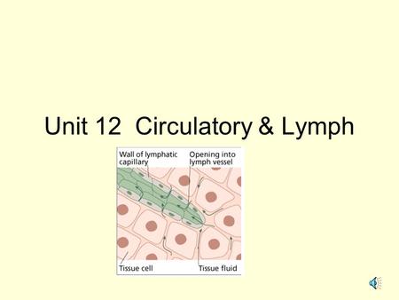 Unit 12 Circulatory & Lymph 1. ARTERY VEIN CAPILLARY ARTERIES- carry blood Away from heart clean oxygenated blood except for Pulmonary Artery VEINS-