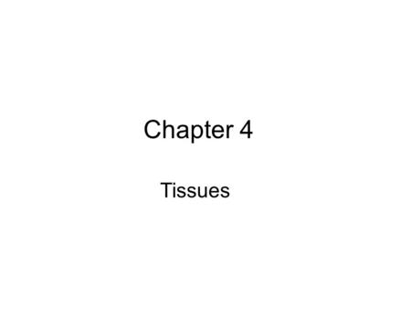 Chapter 4 Tissues. Organization of Tissues Types There are four major tissue types: 1.Epithelium 2.Connective 3.Muscle 4.Nervous.