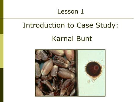 Introduction to Case Study: