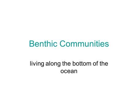 Benthic Communities living along the bottom of the ocean.