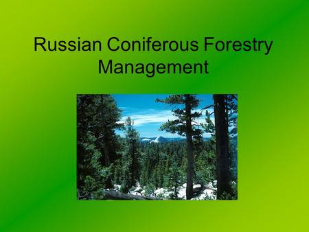 Russian Coniferous Forestry Management. Coniferous (Taiga) Forest This type of forest is found in the Northern hemisphere. It is absent from the Southern.