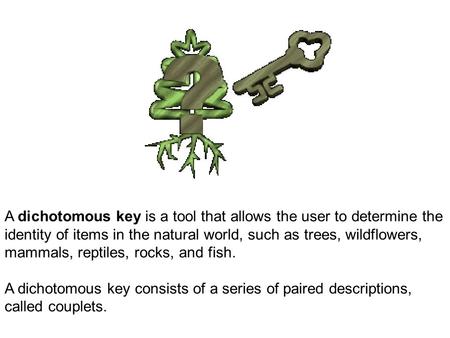 A dichotomous key is a tool that allows the user to determine the identity of items in the natural world, such as trees, wildflowers, mammals, reptiles,
