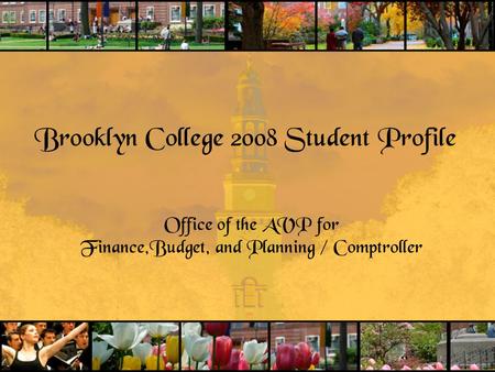 Brooklyn College 2008 Student Profile Office of the AVP for Finance,Budget, and Planning / Comptroller.