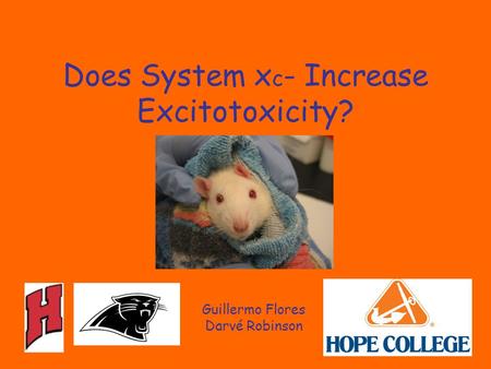 Does System x c - Increase Excitotoxicity? Guillermo Flores Darvé Robinson.